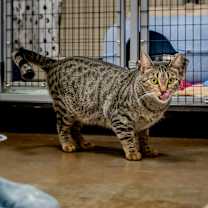 Thumbnail photo of Francine Smith #4