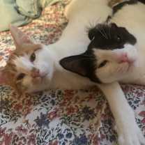 Thumbnail photo of Junior #4