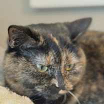 Thumbnail photo of Marmie O'Dare #4