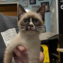 Thumbnail photo of Kiki #3