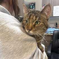 Thumbnail photo of Snickerdoodle #3