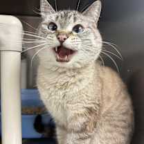 Thumbnail photo of Sandy #3