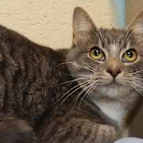 Thumbnail photo of Libby #1