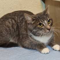 Thumbnail photo of Libby #4