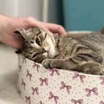 Thumbnail photo of Slushie #4