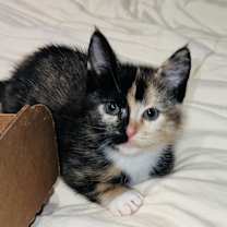 Thumbnail photo of Payton #2