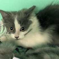 Thumbnail photo of Jimmy #2