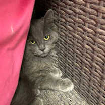 Thumbnail photo of Count Max #3