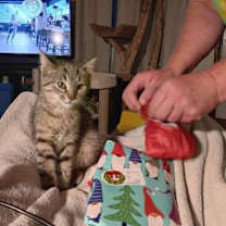 Thumbnail photo of Betsy #2