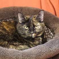 Thumbnail photo of Evie C #3