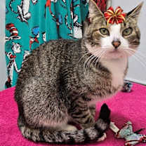 Thumbnail photo of Theo #3