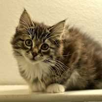 Thumbnail photo of Barrel #1