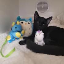 Thumbnail photo of Chabela #2