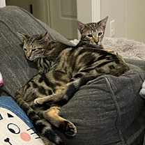 Thumbnail photo of Jimmy #4