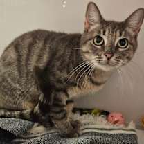 Thumbnail photo of Kelly #2