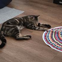 Thumbnail photo of Jimmy #4