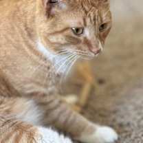 Thumbnail photo of Bitty #3