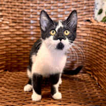 Thumbnail photo of Porridge #1