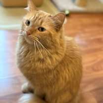 Thumbnail photo of Milana #3