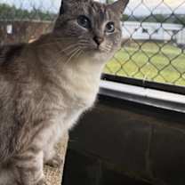 Thumbnail photo of Charlie #1