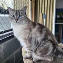 Thumbnail photo of Charlie #3