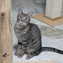 Thumbnail photo of Marty #1