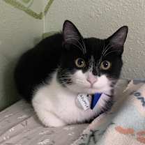 Thumbnail photo of Souffle #1