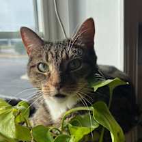 Thumbnail photo of Fiona  #2