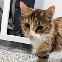 Thumbnail photo of Holly #2