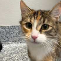 Thumbnail photo of Holly #3