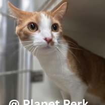 Thumbnail photo of Lloyd #1