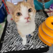 Thumbnail photo of Lloyd #3