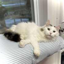 Thumbnail photo of Mia #4