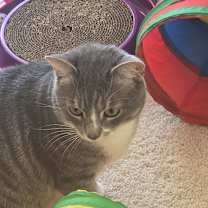 Thumbnail photo of Lucky #1