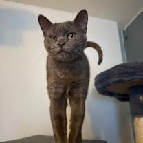 Thumbnail photo of Mashed Potatoes #4