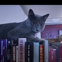 Thumbnail photo of Karl #2