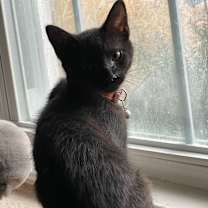 Thumbnail photo of Jet #3