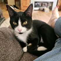 Thumbnail photo of Bany #1