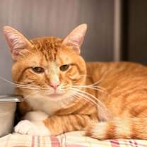 Thumbnail photo of Charlie #2