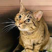 Thumbnail photo of Rhonda #3