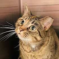 Thumbnail photo of Rhonda #4