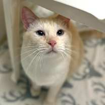 Thumbnail photo of Noah #1