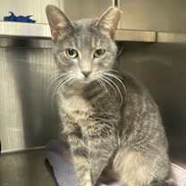 Thumbnail photo of Lilo #1