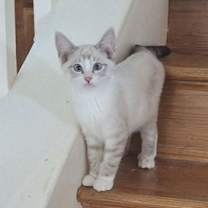 Thumbnail photo of Oakley #hire-him #2