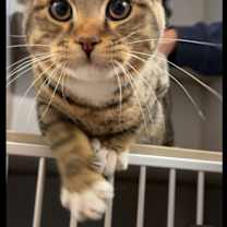 Thumbnail photo of Sterling #1