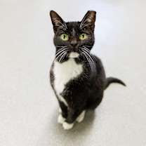 Thumbnail photo of Kitty Wu #1