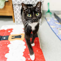 Thumbnail photo of Kitty Wu #3