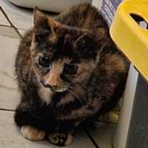 Thumbnail photo of No Name #4