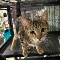 Thumbnail photo of Gloria #2