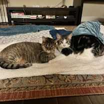 Thumbnail photo of Lizzie #2